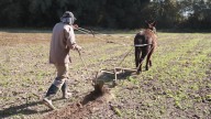 Arte y trabajo duro se combinan en una videoexposición