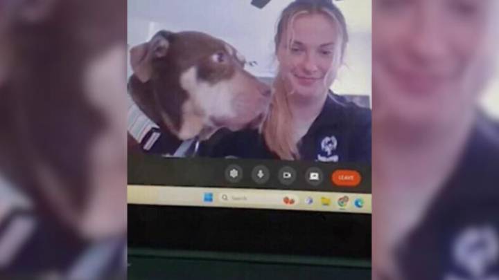 Virginia Rescue Pup Crashes Her Owner’s Online Therapy Call And Demands A Session Of Her Own