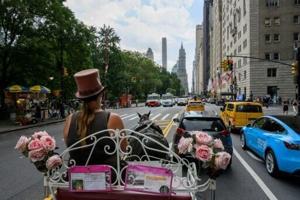 Central Park horse-drawn carriages face ride into the sunset