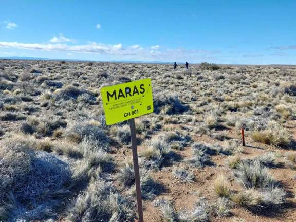 Reabrió el portal MARAS para seguir el estado de los pastizales en la Patagonia