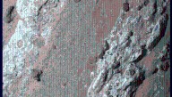 Exciting Mars Mudstone Has Features That Might Be Considered Signs Of Life