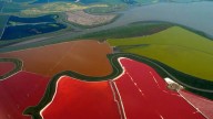 Un terremoto de magnitud 4.3 sacude la bahía de San Francisco