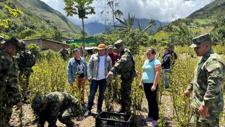 Colombia destaca logros ‘históricos’ en su lucha antidrogas antes de evaluación de Trump