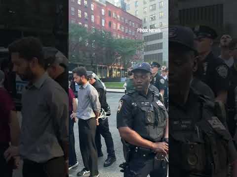 WATCH: New York politicians get cuffed after ICE showdown #shorts #nyc #politics #foxnews #usa