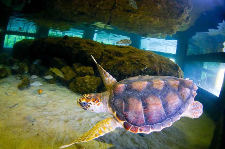 Things to do with kids in South Florida this week