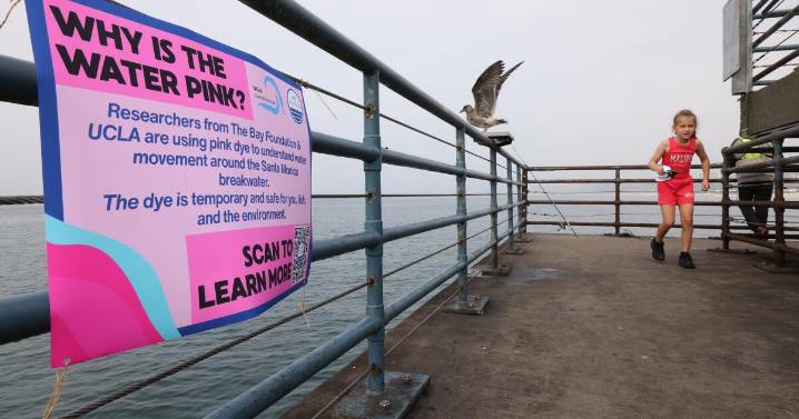 Santa Monica's waves have turned a bright pink. How can the dye job improve water quality?