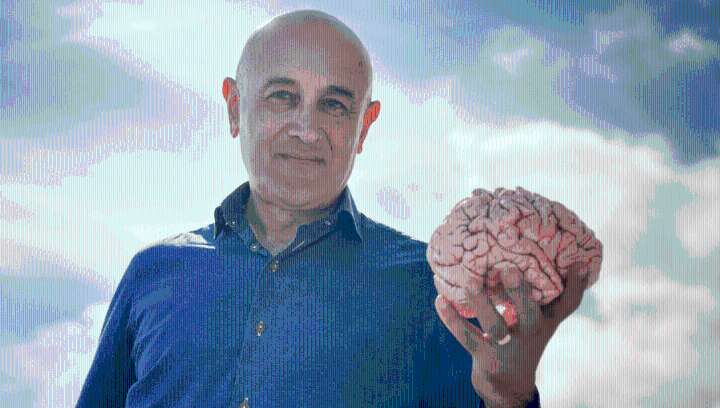 Why Are Humans So Smart? Allow Us To Introduce You To The Neocortex
