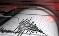 Un sismo sacudió a la localidad chilena de Mendoza: registró una magnitud de 4.6