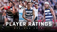 AFL Grand Final 2025: Geelong Cats player ratings from Grand Final vs Brisbane, every Cat rated, analysis, best and worst players, stats