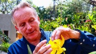 Un santuario con 25.000 orquídeas en La Ceja, Antioquia, busca salvar especies de la extinción