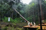 UE propone aplazar hasta 2026 la aplicación de la ley contra la deforestación