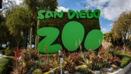 El Zoológico de San Diego se suma a plan estacionamiento de pago