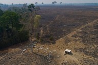 More than half the world’s forests fragmented in 20 years