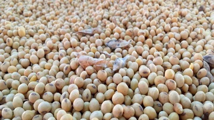 China bate su récord histórico de compras de soja e inclina la balanza a favor de los destinos sudamericanos