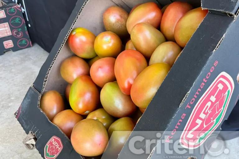 Afectan los aranceles a productores de jitomate