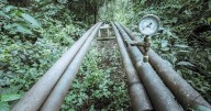 La Corte Suprema condenó a Jujuy por la contaminación petrolera del Parque Nacional Calilegua