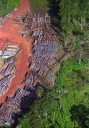 Suriname pledges to shield 90% of forests, far beyond global conservation goal