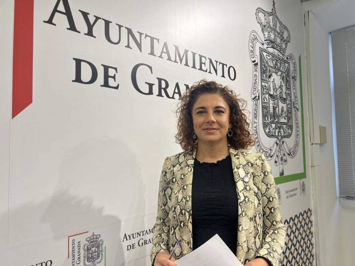 El PSOE carga contra los cortes de tráfico en el centro por sus "desastrosos" efectos