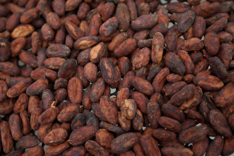 Ecuador set to become world's No. 2 cocoa grower, industry head says