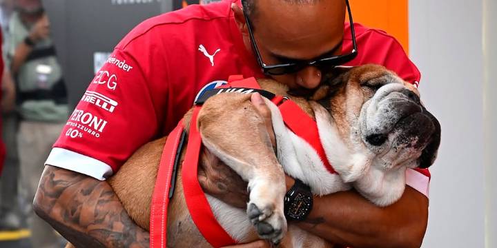 La desgarradora despedida de Lewis Hamilton a su perro Roscoe: “Tuve que tomar la decisión más difícil de mi vida”