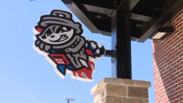 6 Trash Pandas promoted to Triple
