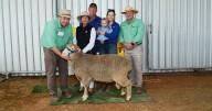 Bella Lana 2025 ram sale results, top price and average