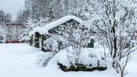 What The Old Farmer's Almanac Prediction Says About Your Garden This Winter