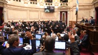 Cómo votó cada senador el rechazo al veto presidencial a la Emergencia en Discapacidad
