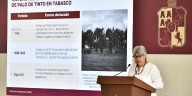 Jornada de Reforestación 2025 permitirá la recuperación de especies nativas y de la cobertura forestal en la entidad