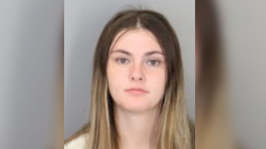 19-year-old accused of hitting woman with her car during argument