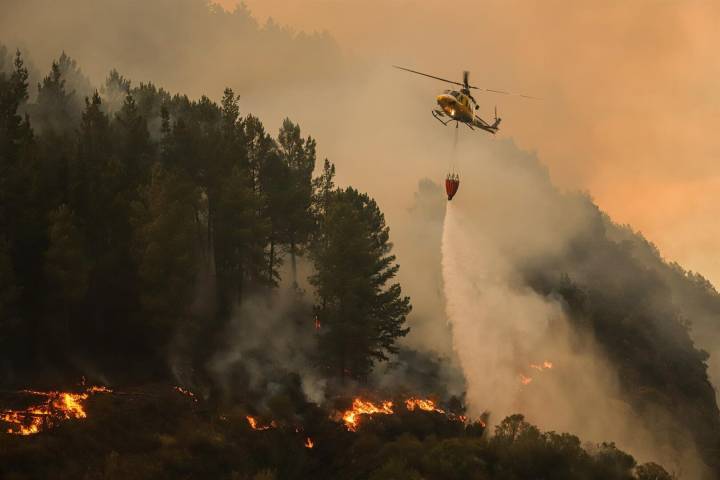 Detenido un vecino en A Coruña como responsable de un incendio forestal al realizar labores agrícolas