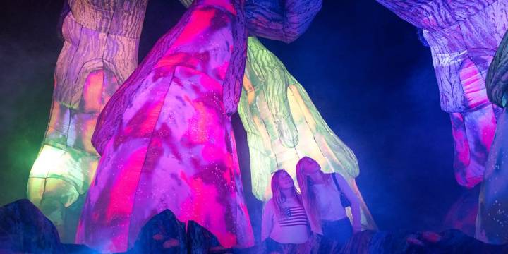 GLEAM exhibit enters year 10 at Olbrich Botanical Gardens