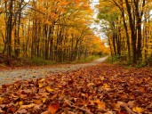 Fall officially arrives with the autumnal equinox. What to know.