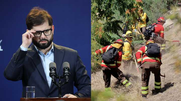Biobío: Piden que el Presidente autorice usar "fuego técnico" para prevenir incendios forestales