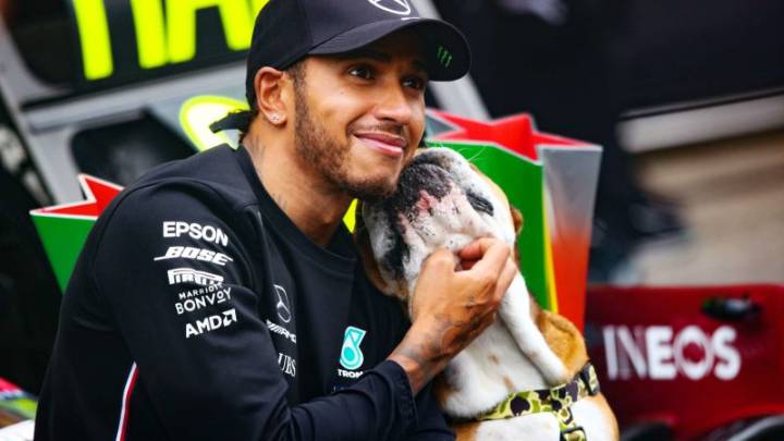"Murió en mis brazos": la emotiva y desgarradora despedida del piloto Lewis Hamilton de su perro Roscoe