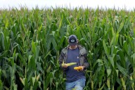 'No sign of Chinese buying': Trump credited for 'devastating' US farmers' soybeans market​