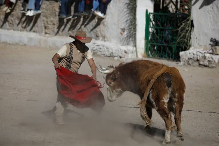 “Es nuestro San Fermín”. La corrida de toros donde el objetivo no es matarlos, sino quitarles una vincha roja