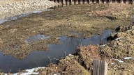 Proposed funds in state budget aim to combat Lake St. Clair muck