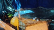 FNE: La carroza del Bachillerato 2 sufrió daños por la lluvia y necesitan ayuda
