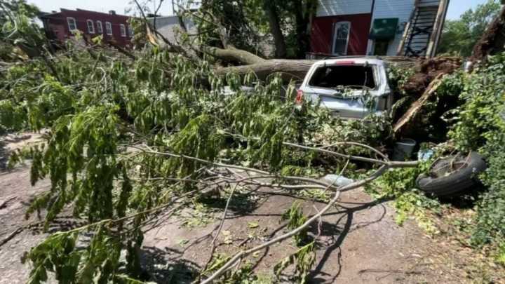 Missouri Dog Trapped In Tornado Rubble Is Saved By Heroes Who Refused To Give Up