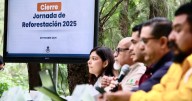 Jalisco supera en 17.1% la meta de reforestación con 160 mil árboles sembrados