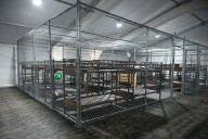 Millions of Migrants Could Now Face Mandatory Detention