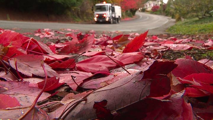 Here's when fall officially starts in Seattle