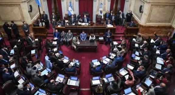 El Senado rechazó definitivamente el veto a la ley de discapacidad