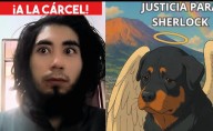 Cárcel en Pasto para hombre acusado de incinerar a su perro Sherlock
