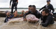 Endangered pink river dolphins face a rising mercury threat in the Amazon