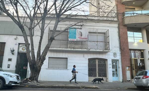 Fuerte denuncia de padres: por invasión de ratas suspenden las clases en una escuela especial del centro de La Plata
