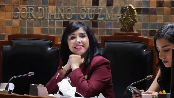 Que el derecho a la salud mental tenga rango constitucional, es la propuesta que hizo Marta Arizmendi