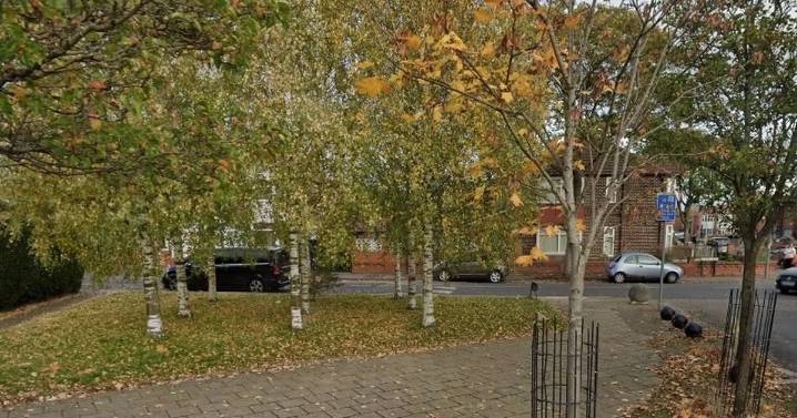 Huge 60ft-high structure could be built in Old Trafford