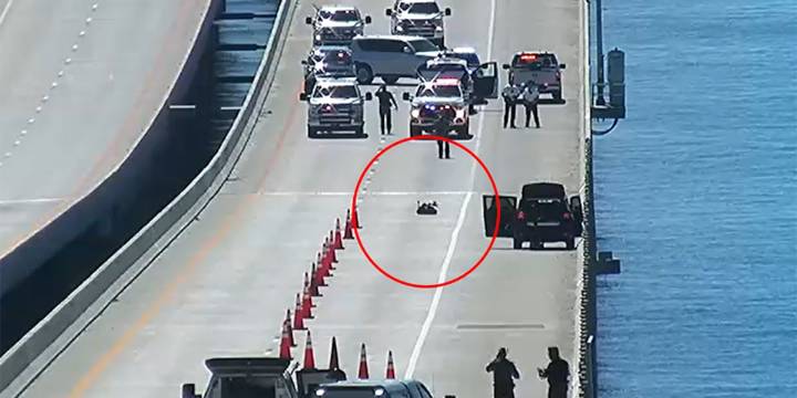Skyway Bridge closed by law enforcement activity